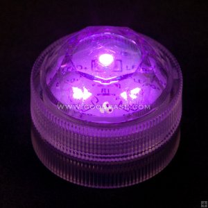 LED003-PURPLE