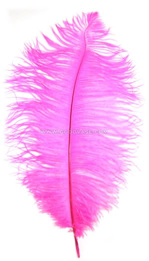feather - Click Image to Close