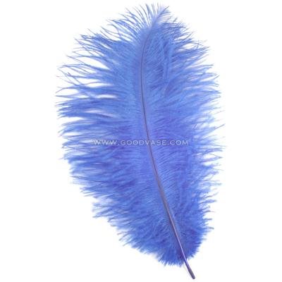 feather - Click Image to Close