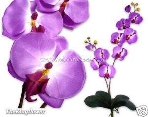 SILK ORCHID STEAM SPRAY - Click Image to Close