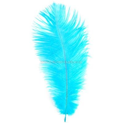 feather - Click Image to Close
