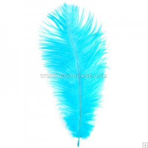 feather