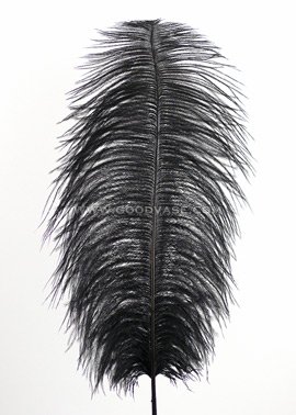 feather - Click Image to Close