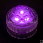 LED003-PURPLE