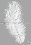 feather