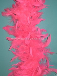 Feather BOA