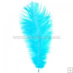 feather